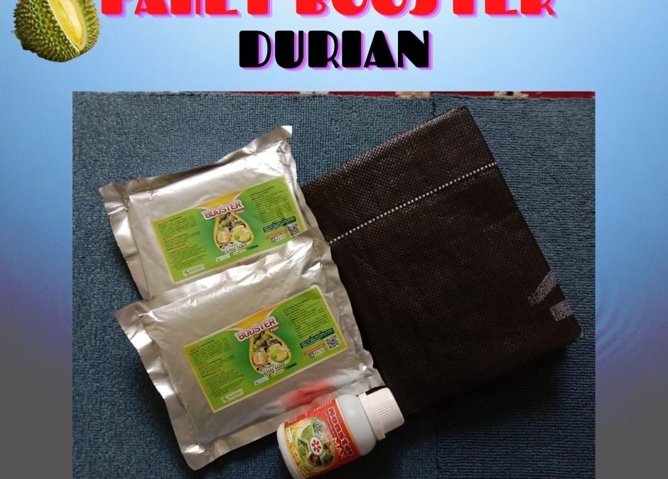TERPOPULER 0812-2882-4834 Paket Perawatan Durian Pasca Tanam Pakpak Bharat, Perawatan Durian Pasca Panen Salak, Perawatan Durian Baru Tanam Humbang Hasundutan