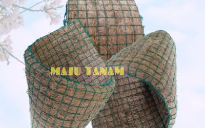 PROMO 0812-2882-4834 Pengrajin Pot Bunga Anggrek Keramik Slawi, Pusat Pot Bunga Anggrek Gerbah Temanggung, Retail Pot Bunga Anggrek Wonogiri