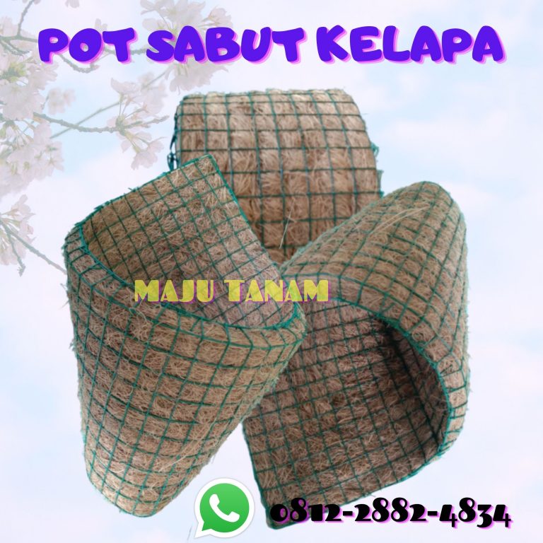 PROMO 0812-2882-4834 Pengrajin Pot Bunga Anggrek Keramik Slawi, Pusat Pot Bunga Anggrek Gerbah Temanggung, Retail Pot Bunga Anggrek Wonogiri