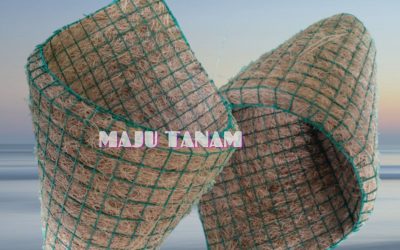 TERMURAH 0812-2882-4834 Pusat Pot Bunga Anggrek Gerbah Jawa Timur, Retail Pot Bunga Anggrek Surabaya, Pesan Rak Pot Bunga Anggrek Bangkalan