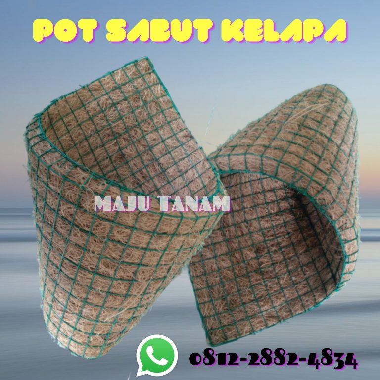 TERMURAH 0812-2882-4834 Pusat Pot Bunga Anggrek Gerbah Jawa Timur, Retail Pot Bunga Anggrek Surabaya, Pesan Rak Pot Bunga Anggrek Bangkalan