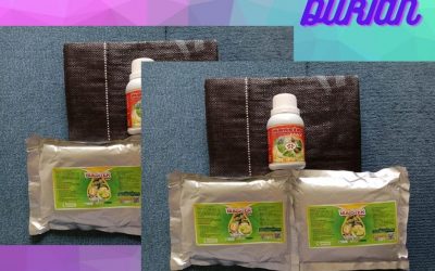 BEST SELLER 0812-2882-4834 Paket Perawatan Durian Pasca Tanam Padang Lawas Utara, Perawatan Durian Pasca Panen Gunung Tua, Perawatan Durian Baru Tanam Padang Lawas