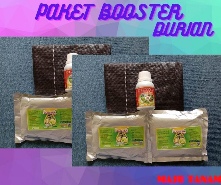 BEST SELLER 0812-2882-4834 Paket Perawatan Durian Pasca Tanam Padang Lawas Utara, Perawatan Durian Pasca Panen Gunung Tua, Perawatan Durian Baru Tanam Padang Lawas