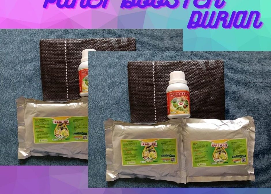 BEST SELLER 0812-2882-4834 Paket Perawatan Durian Pasca Tanam Padang Lawas Utara, Perawatan Durian Pasca Panen Gunung Tua, Perawatan Durian Baru Tanam Padang Lawas