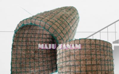 BUY CHEAP 0812-2882-4834 Pusat Pot Bunga Anggrek Gerbah Jombang, Retail Pot Bunga Anggrek Kediri, Pesan Rak Pot Bunga Anggrek Ngasem