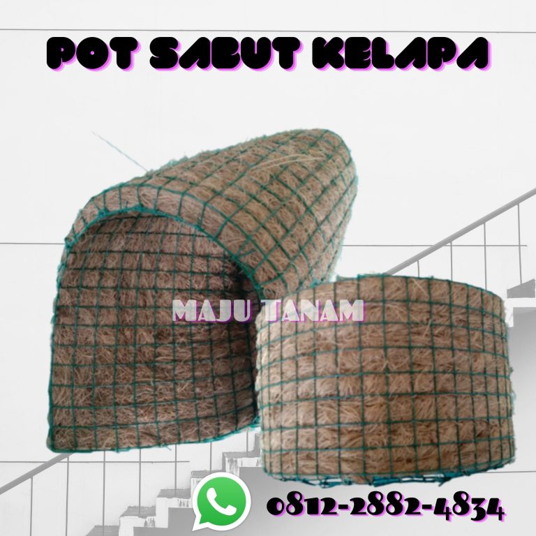 BUY CHEAP 0812-2882-4834 Pusat Pot Bunga Anggrek Gerbah Jombang, Retail Pot Bunga Anggrek Kediri, Pesan Rak Pot Bunga Anggrek Ngasem