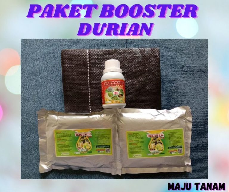 TERJAMIN 0812-2882-4834 Paket Perawatan Durian Pasca Tanam Nias Barat, Perawatan Durian Pasca Panen Lahomi, Perawatan Durian Baru Tanam Kota Medan