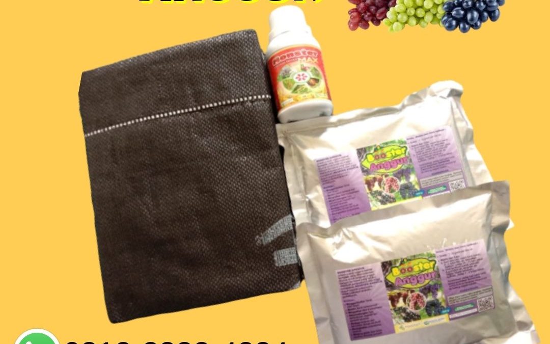 BERKUALITAS 0812-2882-4834 Paket Booster Untuk Buah Anggur Jombang, Paket Pertumbuhan Anggur Kediri, Paket Organik Padat Khusus Anggur Ngasem