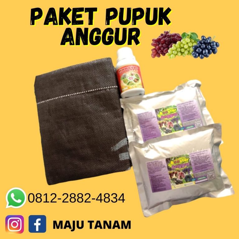 BERKUALITAS 0812-2882-4834 Paket Booster Untuk Buah Anggur Jombang, Paket Pertumbuhan Anggur Kediri, Paket Organik Padat Khusus Anggur Ngasem