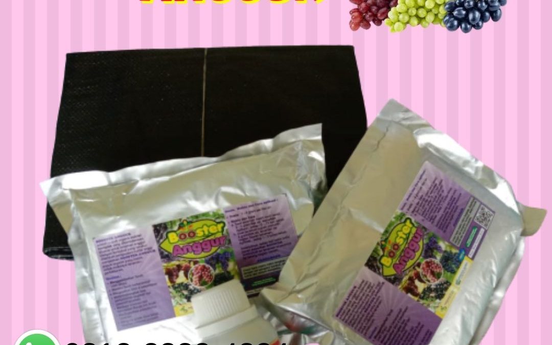 TERPERCAYA 0812-2882-4834 Paket Booster Untuk Buah Anggur Nganjuk, Paket Pertumbuhan Anggur Ngawi, Paket Organik Padat Khusus Anggur Pacitan