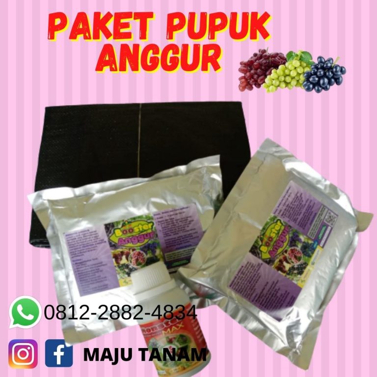 TERPERCAYA 0812-2882-4834 Paket Booster Untuk Buah Anggur Nganjuk, Paket Pertumbuhan Anggur Ngawi, Paket Organik Padat Khusus Anggur Pacitan