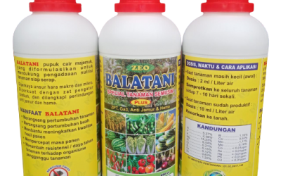 DISKON 0812-2882-4834 Agen Penyubur Tanah Larantuka, Distributor Pupuk Organik Sikka, Produsen Pupuk Organik Cair Maumere