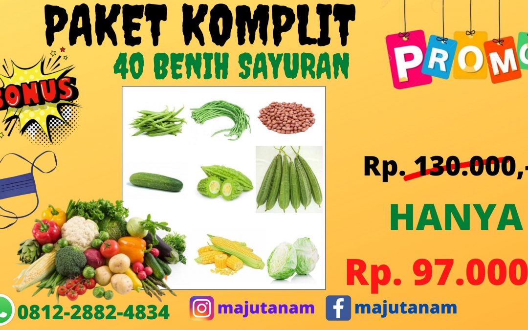 BERKUALITAS 0812-2882-4834 Asli Paket Bibit Sayuran Parigi, Beli Paket Benih Sayuran Murah Purwakarta, Promo Paket Benih Sayuran Murah Buncis Subang