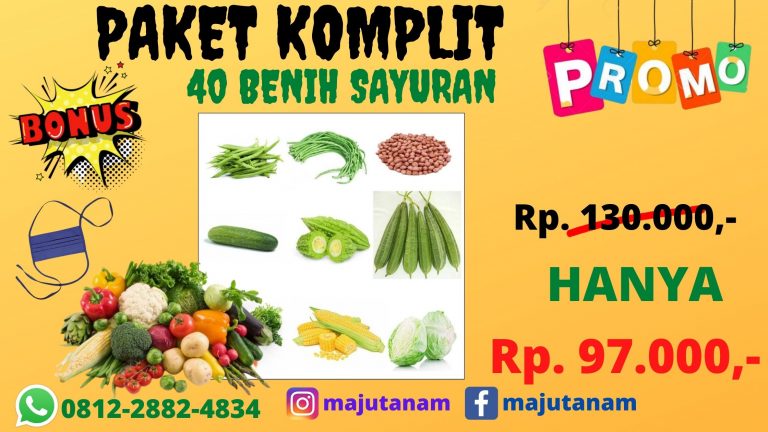 BERKUALITAS 0812-2882-4834 Asli Paket Bibit Sayuran Parigi, Beli Paket Benih Sayuran Murah Purwakarta, Promo Paket Benih Sayuran Murah Buncis Subang