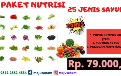 BERKUALITAS 0812-2882-4834 Grosir Paket Benih Sayuran Kacang Panjang Padang Lawas Utara, Pabrik Paket 25 Jenis Benih Sayuran Gunung Tua, Murah Paket Benih Sayuran Padang Lawas