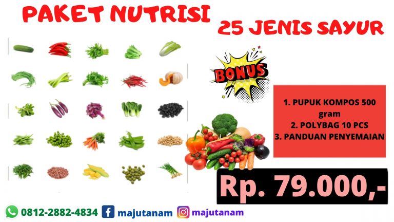 BERKUALITAS 0812-2882-4834 Grosir Paket Benih Sayuran Kacang Panjang Padang Lawas Utara, Pabrik Paket 25 Jenis Benih Sayuran Gunung Tua, Murah Paket Benih Sayuran Padang Lawas