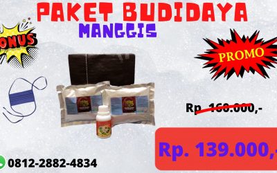 BEST PRICE 0812-2882-4834 Paket Pupuk Tanaman Manggis Bali, Paket Pupuk Kulit Manggis Badung, Paket Kebutuhan Pupuk Manggis Mangupura