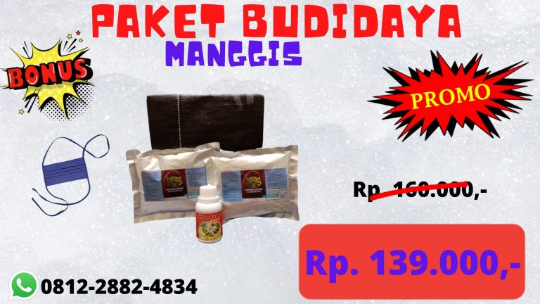 BEST PRICE 0812-2882-4834 Paket Pupuk Tanaman Manggis Bali, Paket Pupuk Kulit Manggis Badung, Paket Kebutuhan Pupuk Manggis Mangupura