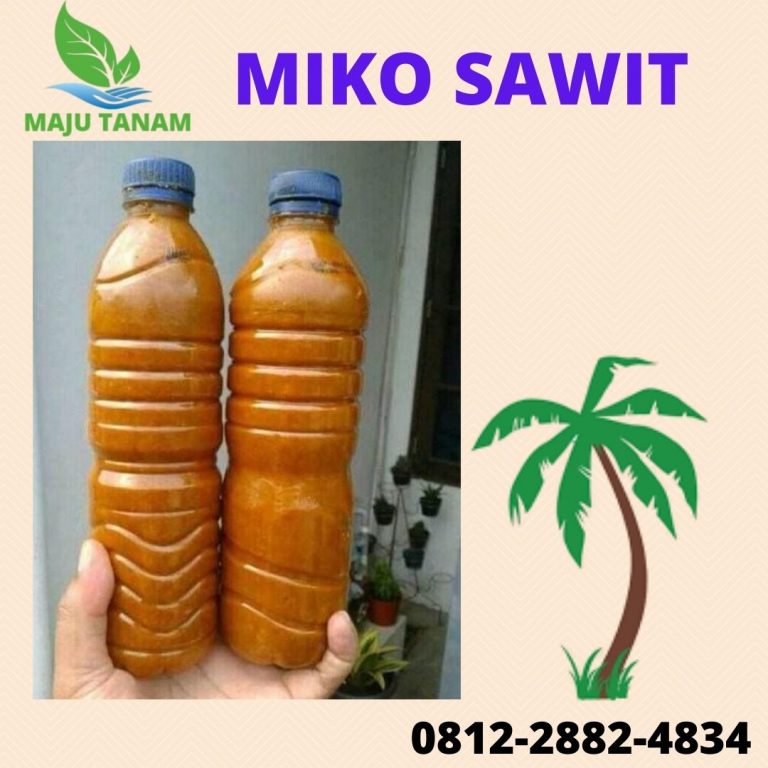 BEST PRICE 0812-2882-4834 Produsen Miko Limbah Sawit Kalimantan Barat, Retail Jual Miko Sawit Pontianak, Pengrajin Miko Kelapa Sawit Sambas