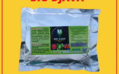 BEST SELLER 0812-2882-4834 Murah Pupuk Bio Djava Untuk Buah Dan Sayur Riau, Diskon Pupuk Untuk Buah Dan Sayur Pekan Baru, Tempat Pupuk Yang Bagus Untuk Buah Dan Sayur Kampar