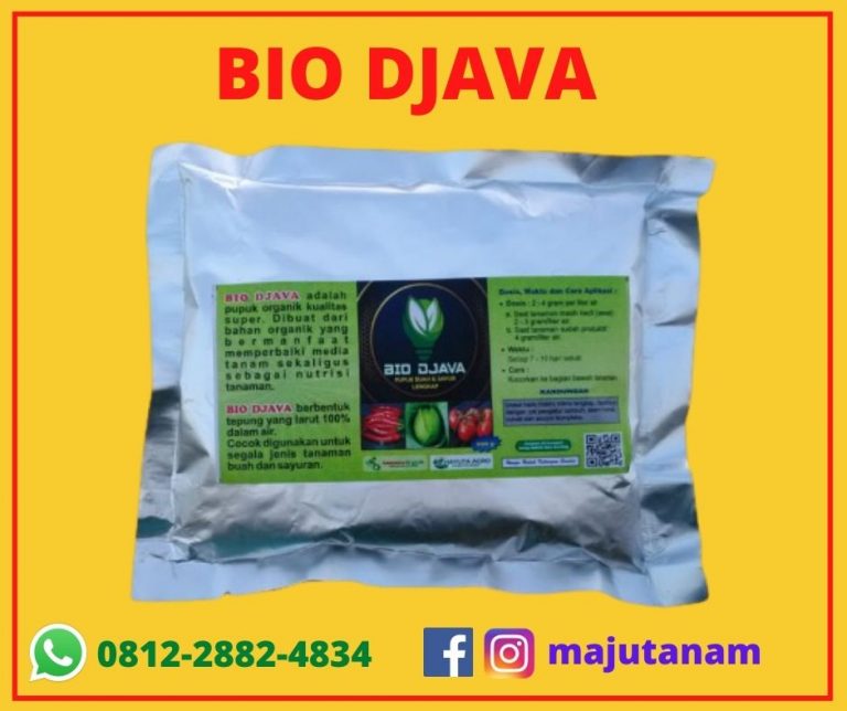 BEST SELLER 0812-2882-4834 Murah Pupuk Bio Djava Untuk Buah Dan Sayur Riau, Diskon Pupuk Untuk Buah Dan Sayur Pekan Baru, Tempat Pupuk Yang Bagus Untuk Buah Dan Sayur Kampar