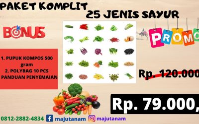 BIG SALE 0812-2882-4834 Grosir Paket Benih Sayuran Kacang Panjang, Pabrik Paket 25 Jenis Benih Sayuran, Murah Paket Benih Sayuran