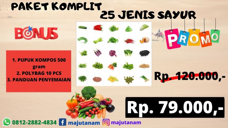 BIG SALE 0812-2882-4834 Grosir Paket Benih Sayuran Kacang Panjang, Pabrik Paket 25 Jenis Benih Sayuran, Murah Paket Benih Sayuran