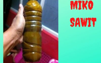 BIG SALE 0812-2882-4834 Harga Limbah Cair Minyak Kotor Miko Sawit Nganjuk, Agen Miko Sawit Ngawi, Jual Harga Miko Sawit Pacitan