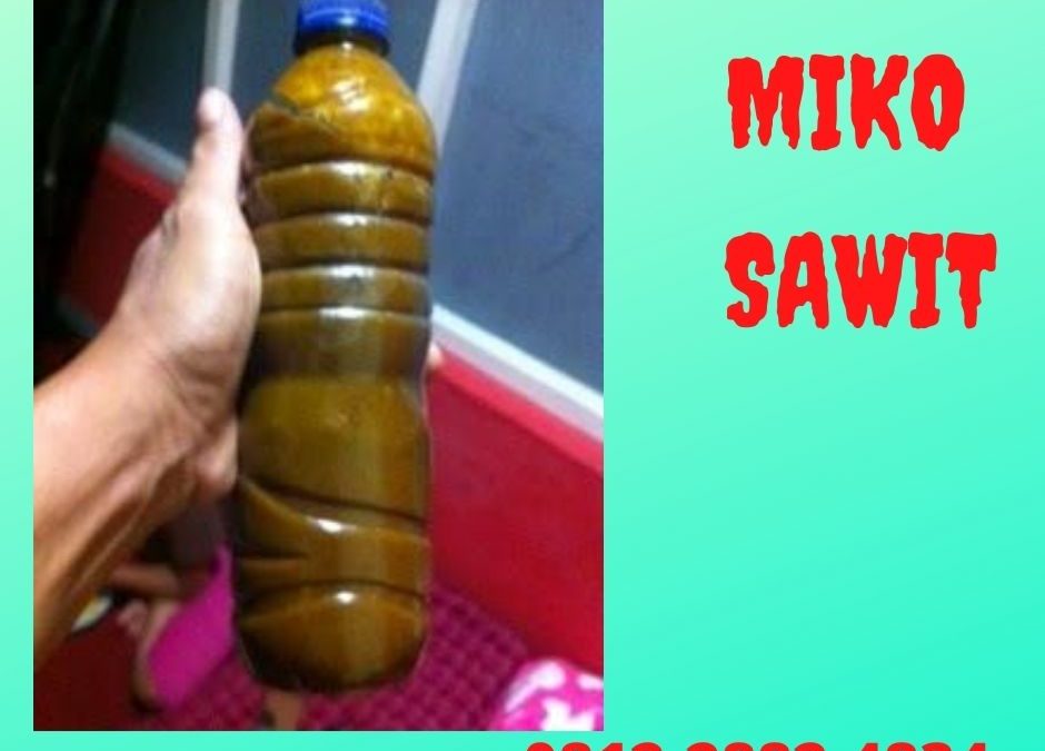 BIG SALE 0812-2882-4834 Harga Limbah Cair Minyak Kotor Miko Sawit Nganjuk, Agen Miko Sawit Ngawi, Jual Harga Miko Sawit Pacitan