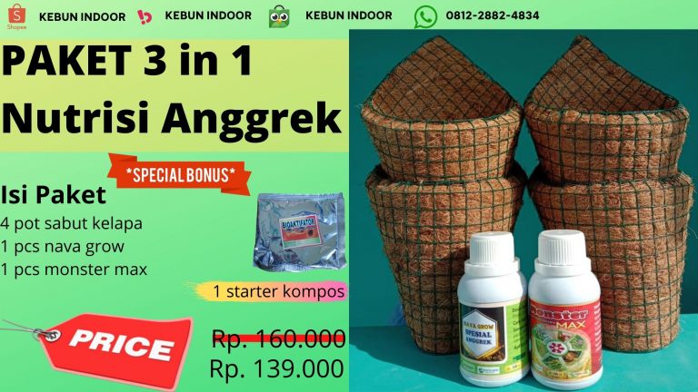 Diskon Paket Pupuk Anggrek Raja Bunga Bali, Tempat Paket Pupuk Anggrek Vanda Badung, Toko Paket Pupuk Anggrek Dendrobium Mangupura