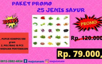 CHEAP 0812-2882-4834 Grosir Paket Benih Sayuran Kacang Panjang Sumatra Utara, Pabrik Paket 13 Jenis Benih Sayuran Medan, Murah Paket Benih Sayuran Tapanuli Tengah