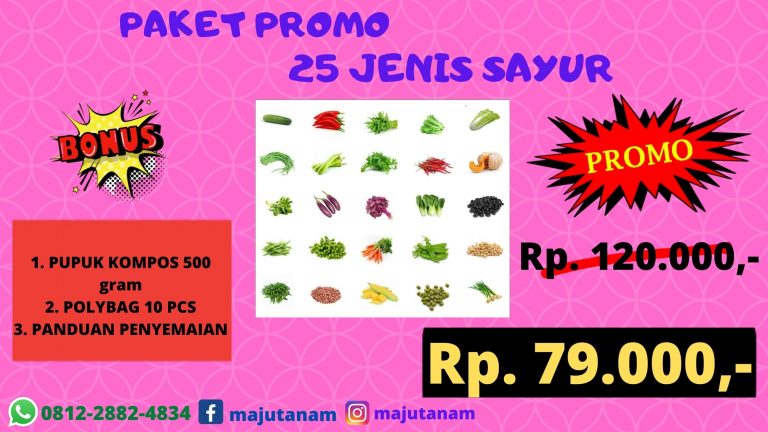 CHEAP 0812-2882-4834 Grosir Paket Benih Sayuran Kacang Panjang Sumatra Utara, Pabrik Paket 13 Jenis Benih Sayuran Medan, Murah Paket Benih Sayuran Tapanuli Tengah