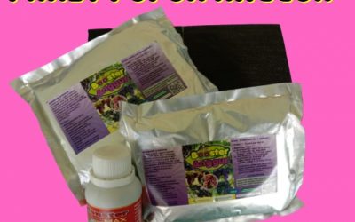 PROMO 0812-2882-4834 Custom Paket Untuk Buah Anggur Sampang, Paket Pertumbuhan Anggur Sidoarjo, Paket Organik Padat Khusus Anggur Situbondo