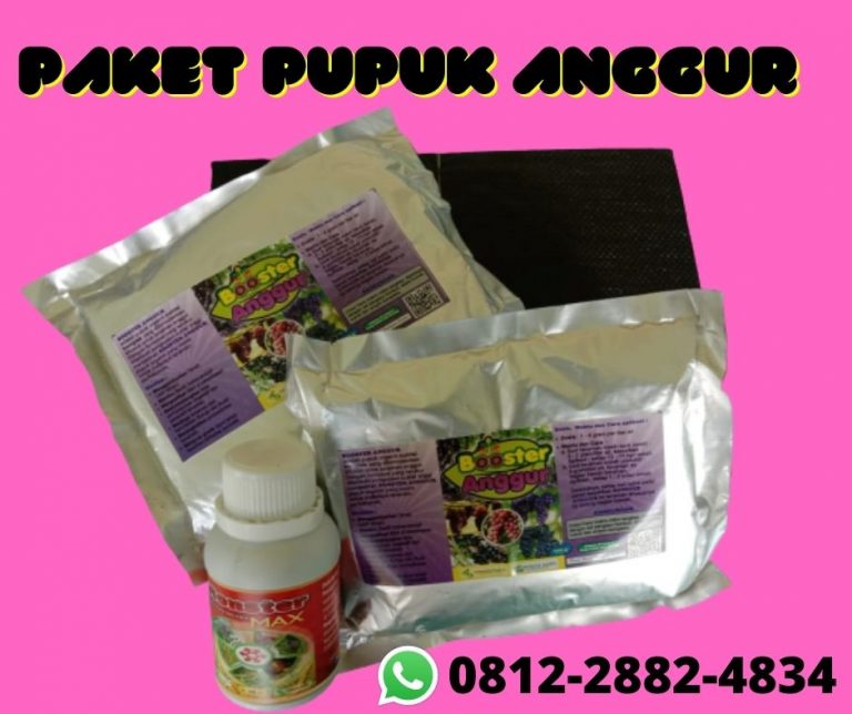 PROMO 0812-2882-4834 Custom Paket Untuk Buah Anggur Sampang, Paket Pertumbuhan Anggur Sidoarjo, Paket Organik Padat Khusus Anggur Situbondo