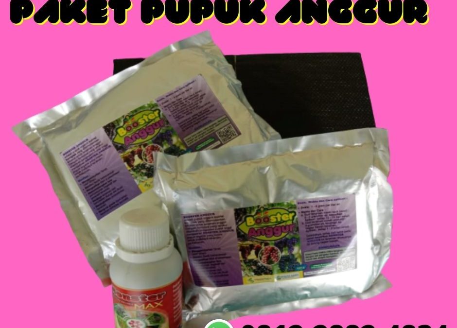 PROMO 0812-2882-4834 Custom Paket Untuk Buah Anggur Sampang, Paket Pertumbuhan Anggur Sidoarjo, Paket Organik Padat Khusus Anggur Situbondo