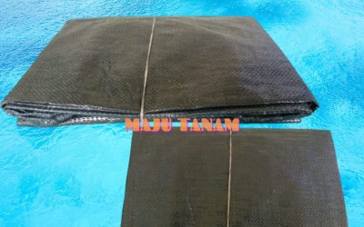 TERBAIK 0812-2882-4834 Custom Planter Bag Untuk Pepaya Kota Surabaya, Pabrik Planter Bag Vertikal Kota Probolinggo, Jual Planter Bag Yang Bagus Kota Pasuruan
