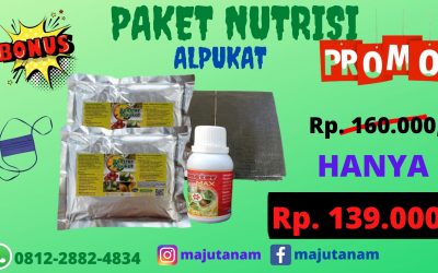 DISKON 0812-2882-4834 Paket Pupuk Alpukat Agar Cepat Berbuah Cianjur, Paket Pupuk Alpukat Yang Baik Cirebon,Paket Pupuk Alpukat Agar Tidak Rontok Sumber