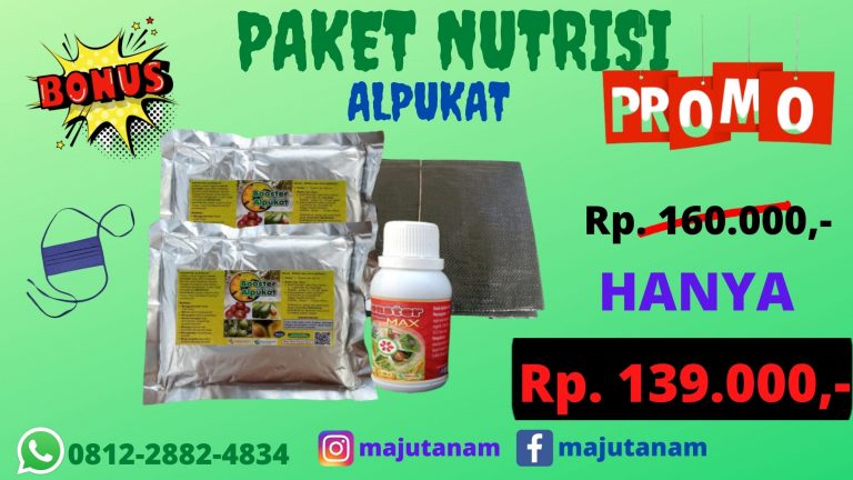 DISKON 0812-2882-4834 Paket Pupuk Alpukat Agar Cepat Berbuah Cianjur, Paket Pupuk Alpukat Yang Baik Cirebon,Paket Pupuk Alpukat Agar Tidak Rontok Sumber
