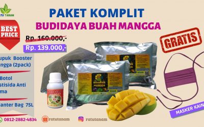 TERMURAH 0812-2882-4834 Diskon Paket Pupuk Buah Mangga Cepat Berbuah Banjarmasin, Tempat Paket Pupuk Buah Mangga Berbuah Lebat Tanah Laut, Toko Paket Pupuk Mangga Paling Berbuah Cepat Pelaihari