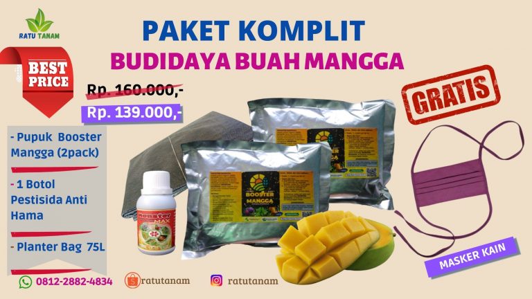 TERMURAH 0812-2882-4834 Diskon Paket Pupuk Buah Mangga Cepat Berbuah  Banjarmasin, Tempat Paket Pupuk Buah Mangga Berbuah Lebat Tanah Laut, Toko Paket Pupuk Mangga Paling Berbuah Cepat Pelaihari