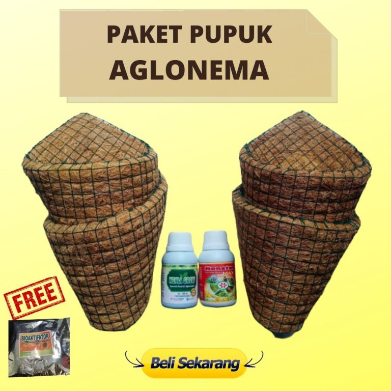 TERMURAH 0812-2882-4834 Diskon Paket Pupuk Daun Nutrisi Aglonema Kota Pangkal Pinang, Tempat Paket Pupuk Aglonema Super Manggar, Toko Paket Pupuk Aglonema Menghidupkan Belitung Timur