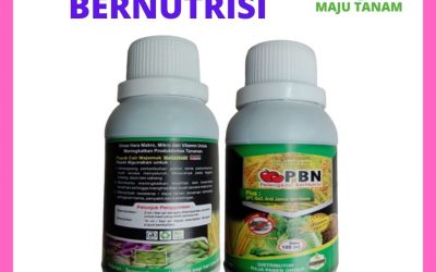 FOR SALE 0812-2882-4834 Beli Pupuk Cair Majemuk DKI Jakarta, Promo Pupuk untuk jagung Jakarta, Jual Zpt Alami Untuk Jahe Kota Jakarta