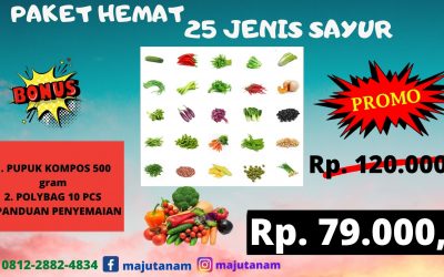 GROSIR 0812-2882-4834 Grosir Paket Benih Sayuran Kacang Panjang Langkat, Pabrik Paket 25 Jenis Benih Sayuran Stabat, Murah Paket Benih Sayuran Karo