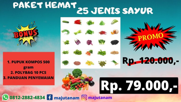 GROSIR 0812-2882-4834 Grosir Paket Benih Sayuran Kacang Panjang Langkat, Pabrik Paket 25 Jenis Benih Sayuran Stabat, Murah Paket Benih Sayuran Karo