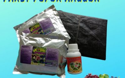TERPOPULER 0812-2882-4834 Harga Pupuk Organik Padat Cianjur, Custom Pupuk Booster Untuk Buah Anggur Cirebon, Pabrik Pupuk Pertumbuhan Anggur Sumber