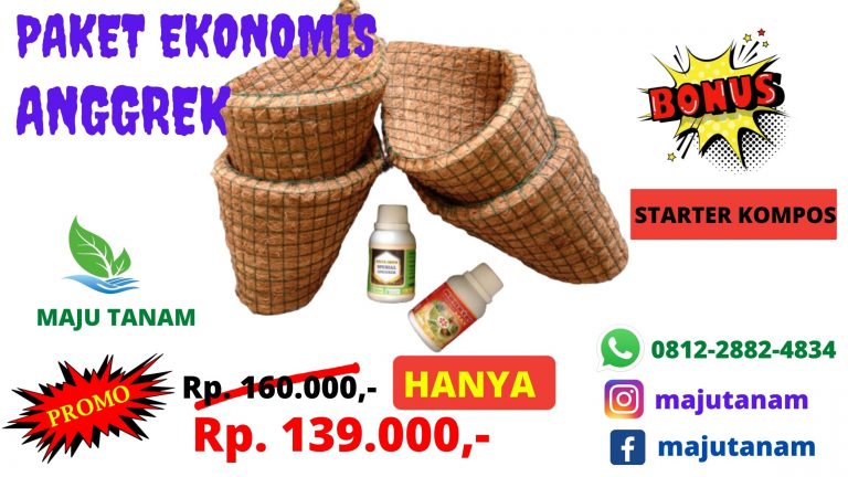ASLI 0812-2882-4834 Jual Paket Pupuk Anggrek Jawa Barat, Agen Paket Pupuk Anggrek Alami Bandung, Distributor Paket Pupuk Anggrek Namira Soerang