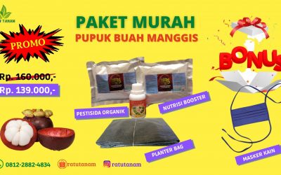 PROMO O812-2882-4834 Jual Paket Pupuk Buah Manggis  Ambon, Agen Pupuk Buah Manggis Maluku Tengah, Distributor Booster Manggis Masohi