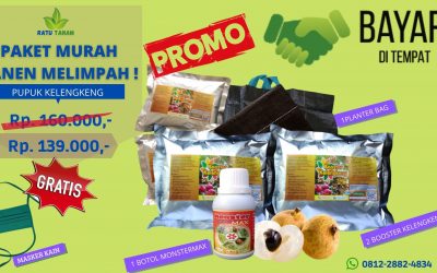 PROMO 0812-2882-4834 Jual Paket Pupuk Kelengkeng Cirebon, Agen Paket Pupuk Booster Kelengkeng Indramayu, Distributor Paket Pupuk Kelengkeng Booster Garut