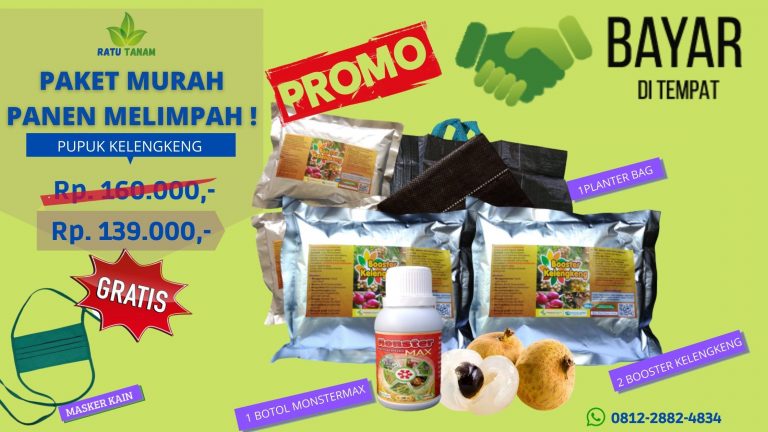 PROMO 0812-2882-4834 Jual Paket Pupuk Kelengkeng Cirebon, Agen Paket Pupuk Booster Kelengkeng Indramayu, Distributor Paket Pupuk Kelengkeng Booster Garut
