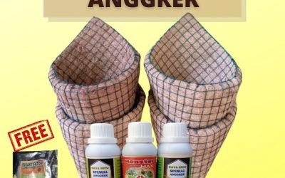 MURAH 0812-2882-4834 Jual Paket Pupuk Organik Anggrek Yogyakarta, Jual Paket Pupuk Anggrek Bantul, Agen Paket Pupuk Anggrek Namira Gunungkidul